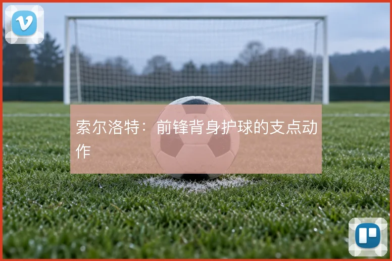 索尔洛特：前锋背身护球的支点动作