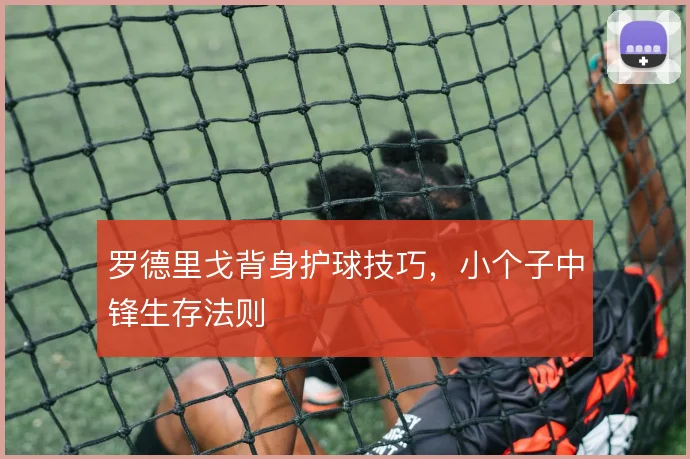 罗德里戈背身护球技巧，小个子中锋生存法则